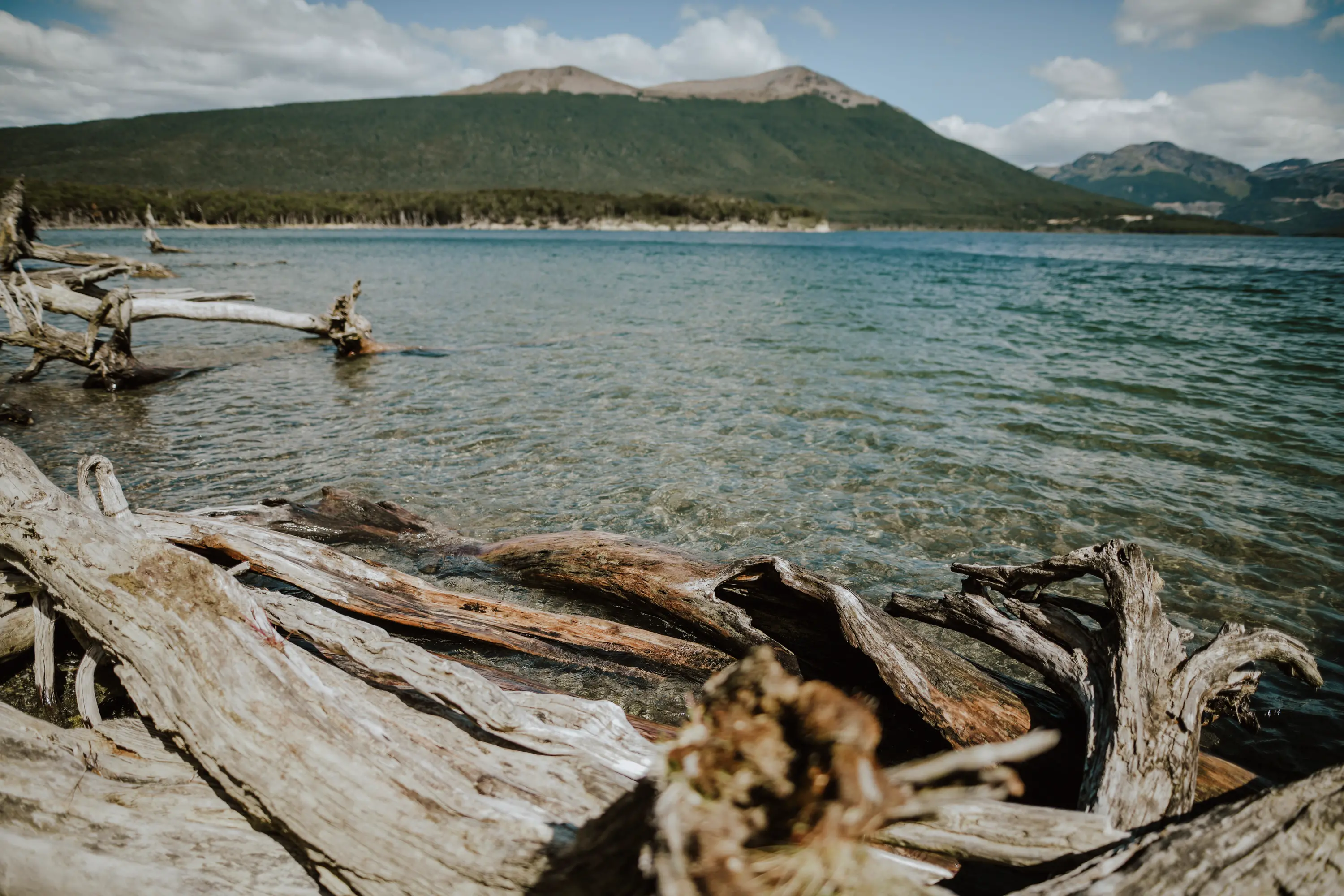 foto de excursion veraniega. Ushuaia